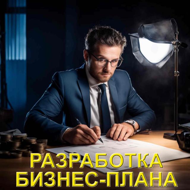 Разработка бизнес-плана Разработка бизнес-плана