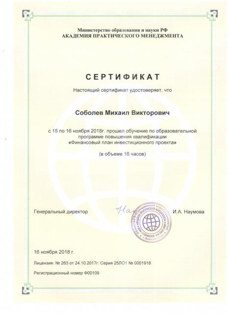 Сертификат Финансовый план инвестиционного проекта